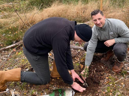 Aufforstung Herbst 2021