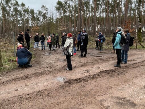 Aufforstung Frühling 2023