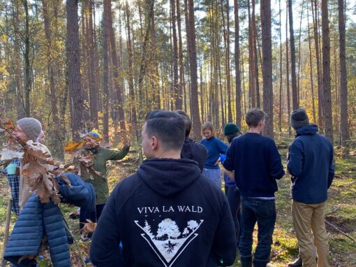 Aufforstung Herbst 2022