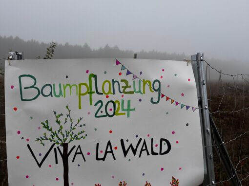 Aufforstung Herbst 2024